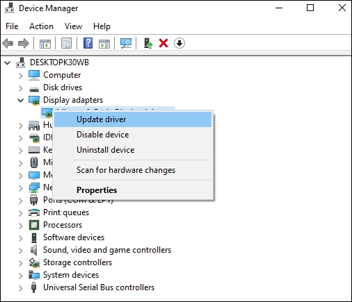 Right-click the display driver and select Update driver.