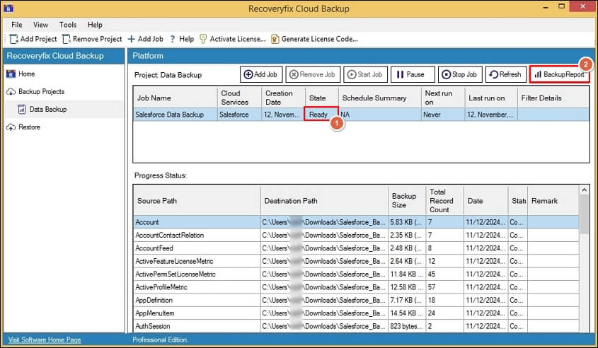 Backup Salesforce data procedure completed