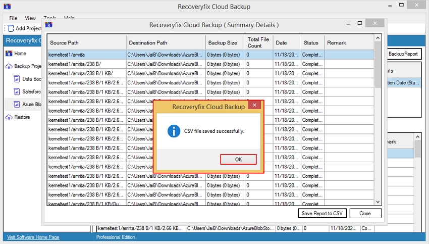 CSV file saved successfully