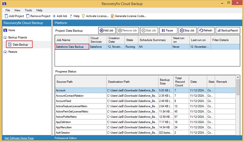 Software will start backup process