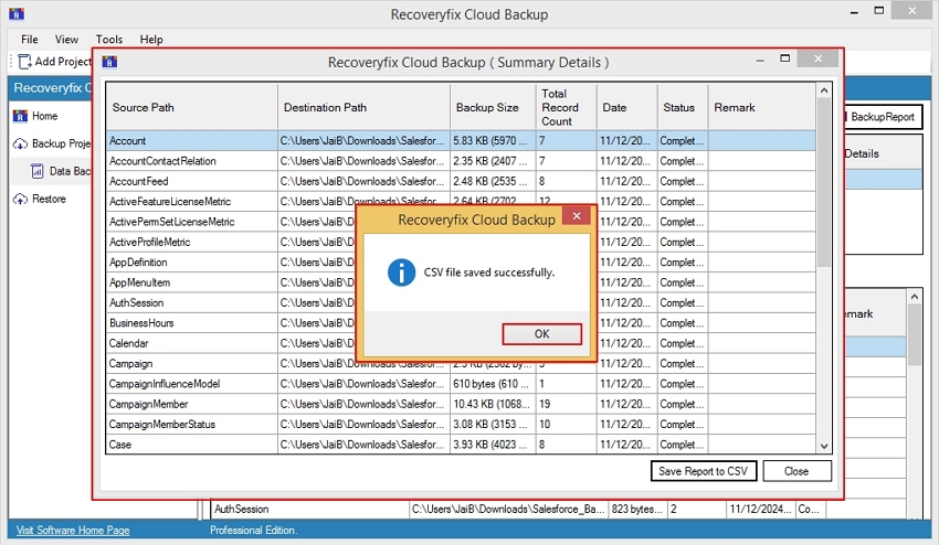 CSV file saved successfully