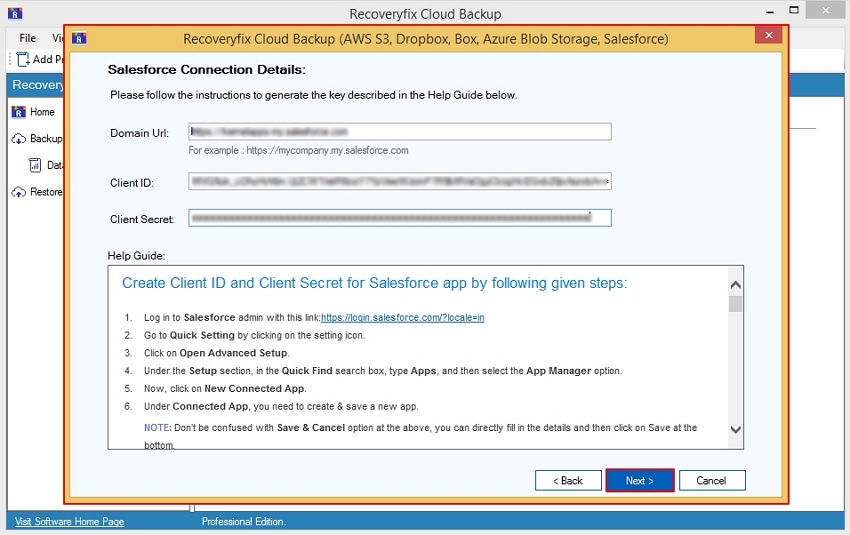 Enter Salesforce Connection Details