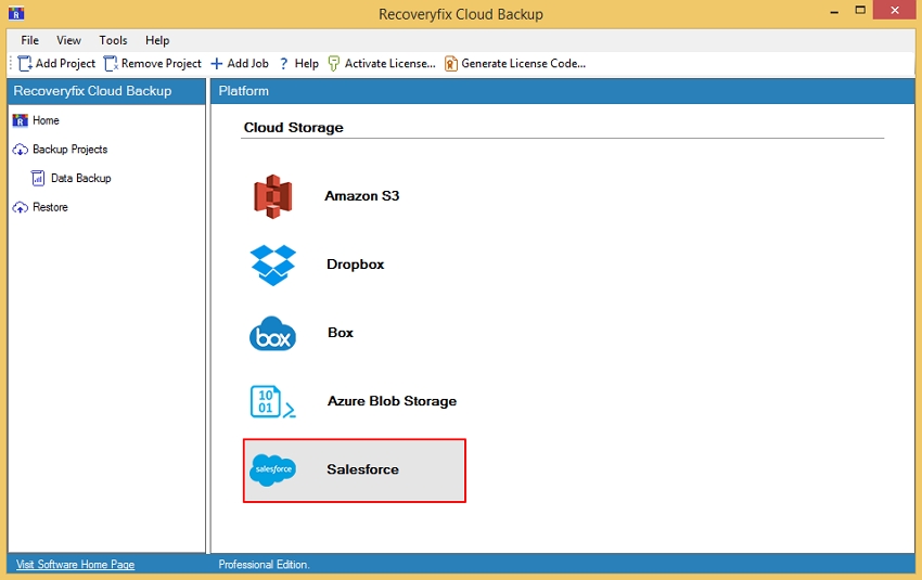 Double-click on Salesforce option