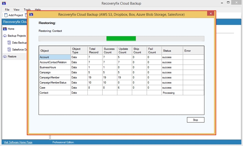 Restoring objects to the Salesforce account