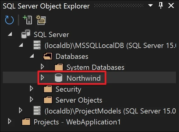 Use your database from the SQL Server Object Explorer